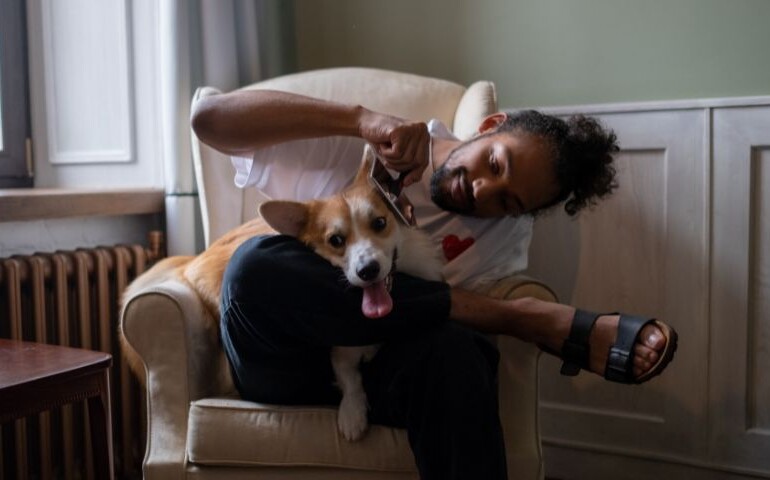 Mężczyzna wykorzystuje furminator na swoim psie, siedząc na fotelu.