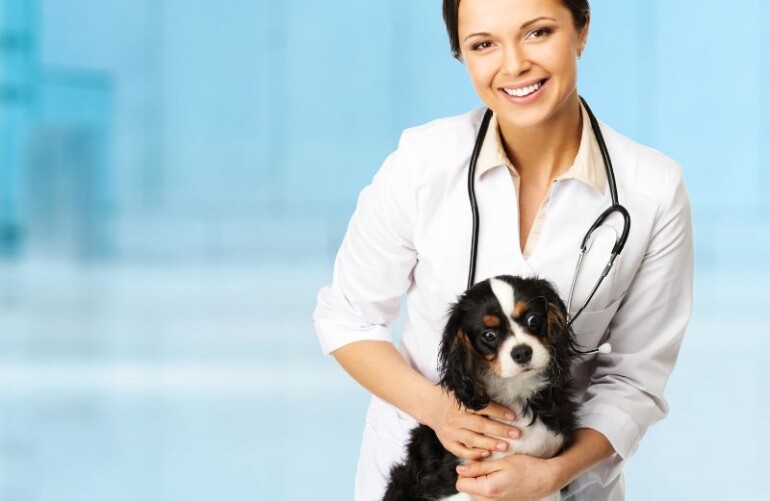 Pozycjonowanie gabinetu weterynaryjnego w Internecie – na zdjeciu Pani weterynarz i zdrowy piesek.